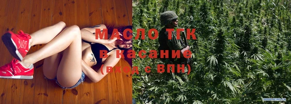 молекула духа Гусев
