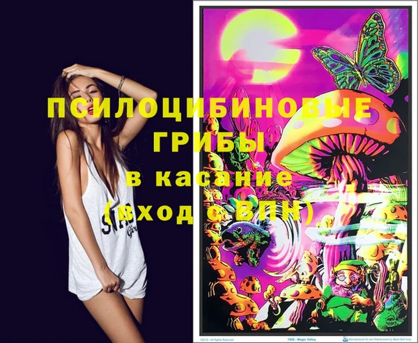 молекула духа Гусев